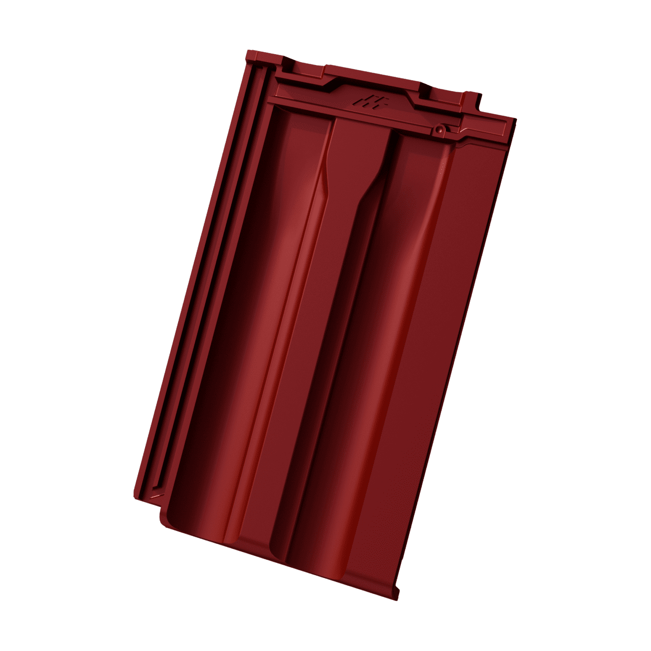 Tradicional PRO crvena boja sjaj Mladost Leskovac